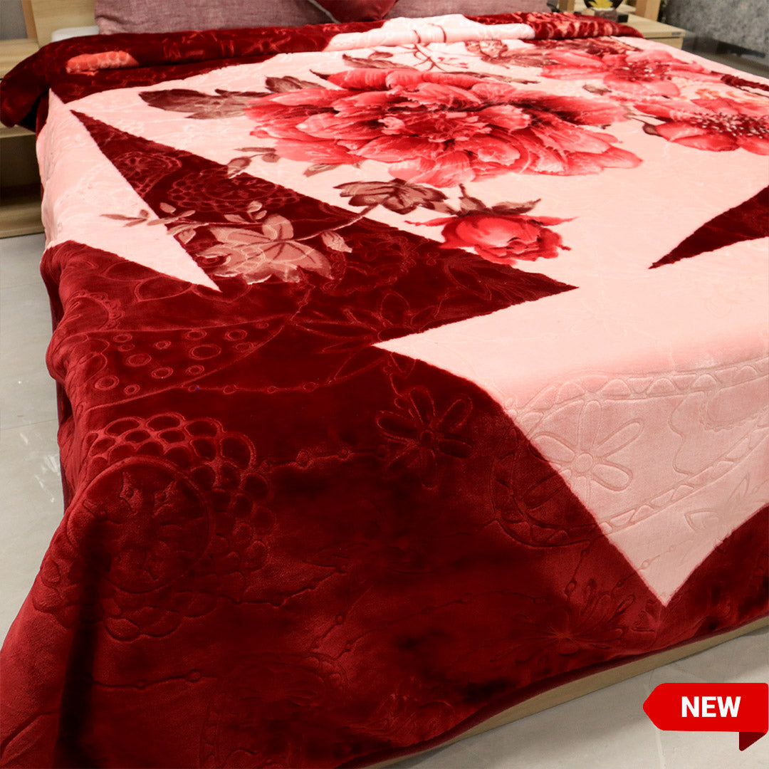 Purist Korea Double Blanket- Cherry Maroon