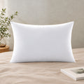 White Pillow Filling (19x29 IN)