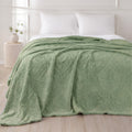 Sherpa Jacquard Throw Blanket - Green