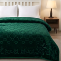 Moonlight Cloudy 4KG 2-Ply Double Bed Blanket - Jade