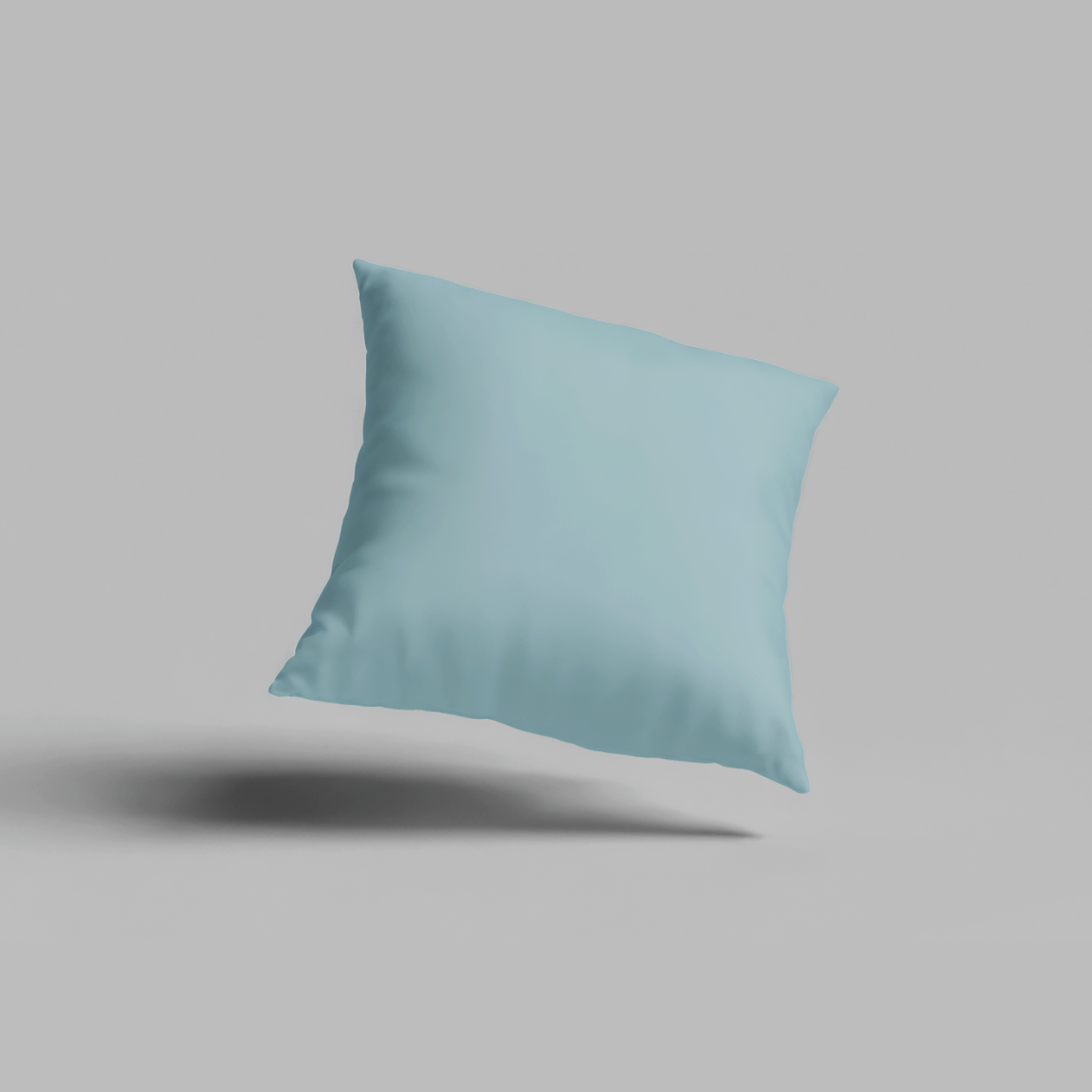 Pair of Cushion Covers-light blue