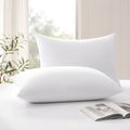 White Pillow Filling (19x29 CM) | Pair