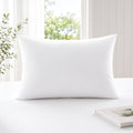 White Pillow Filling (19x29 CM)