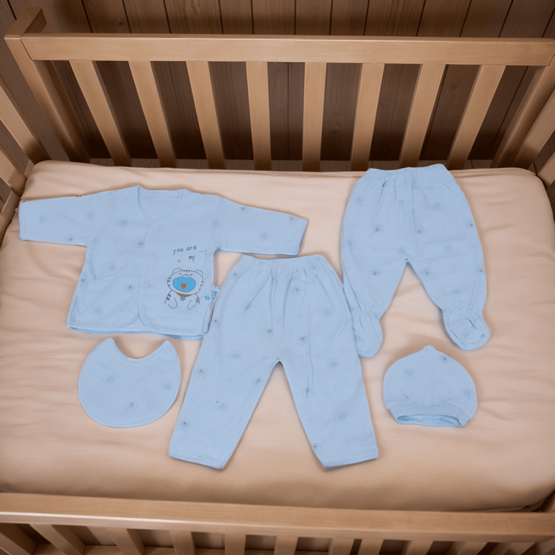 Baby Winter Suit Set 5 Pc - Blue