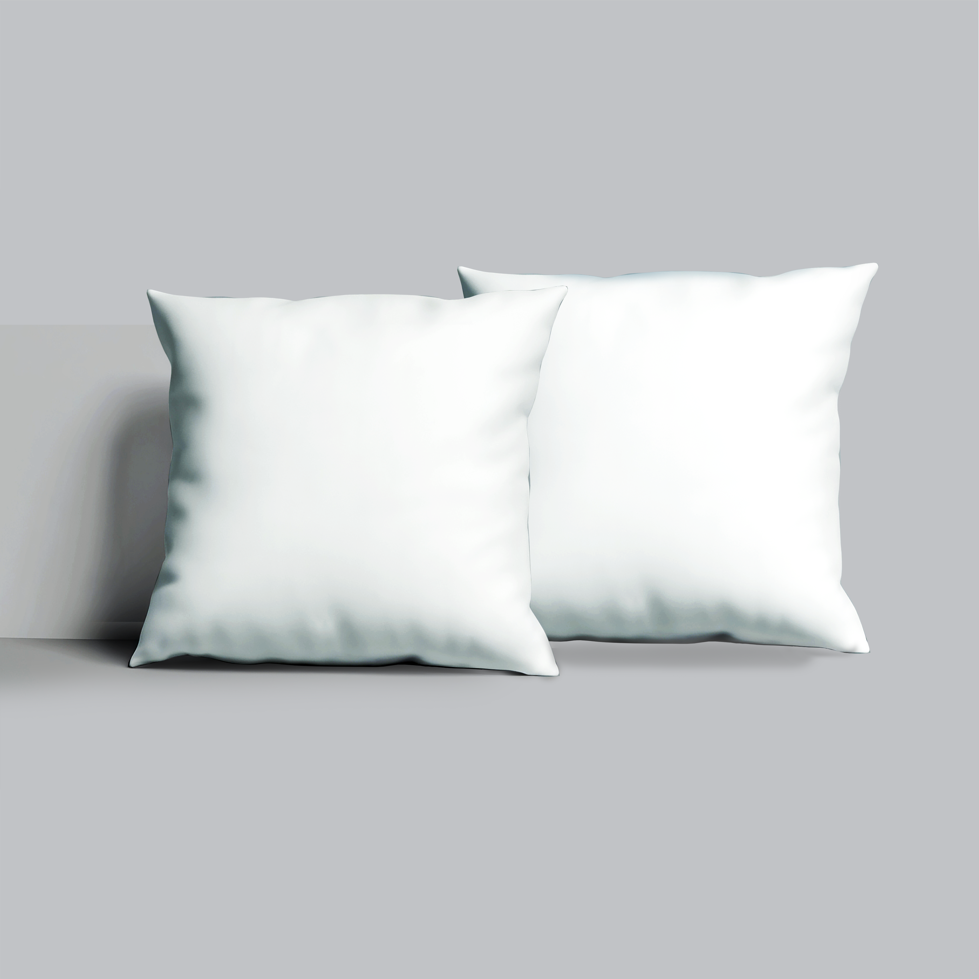 White Cushion Filling- Pair