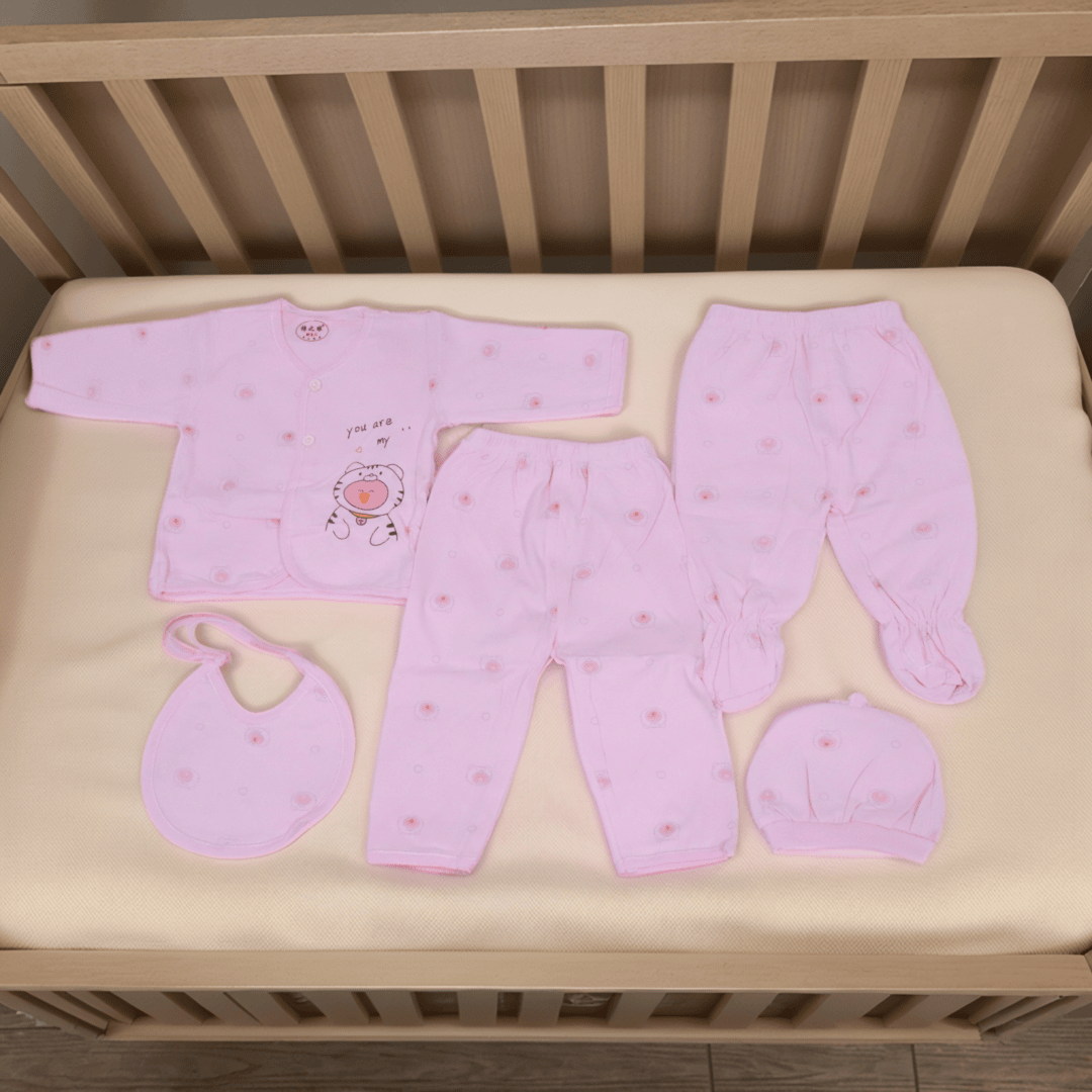 Baby Winter Suit Set 5 Pc - Light Pink